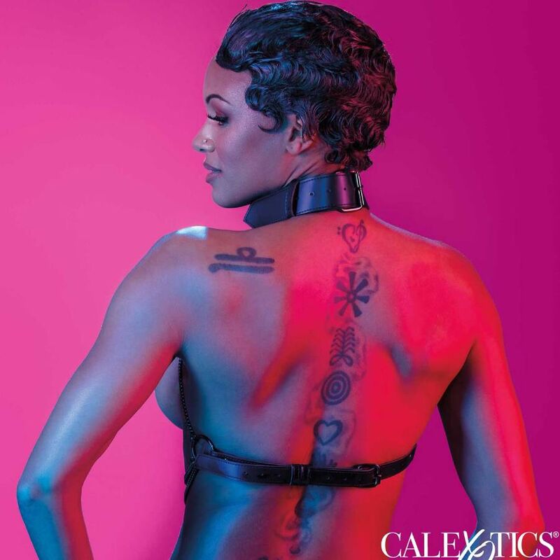 CALEXÓTICAS - EUPHORIA ARNÊS DE COLAR MULTI CADEIA