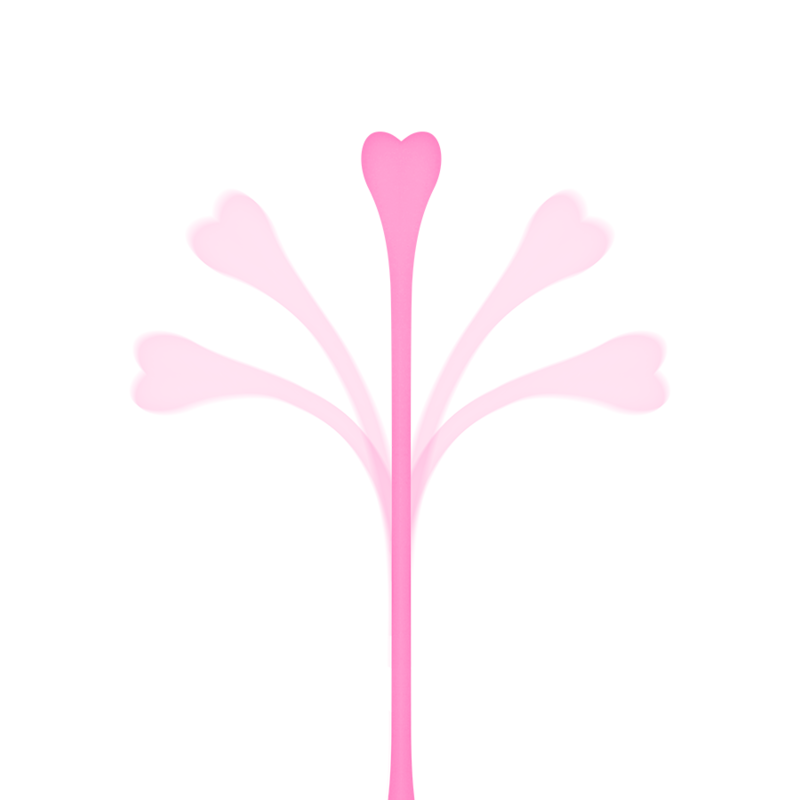 OHMAMA - CONJUNTO DE 5 BOLAS DE EJERCICIO KEGEL