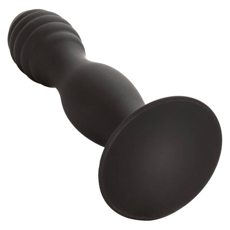 Calexotics - Estudo Anal Com Nervuras