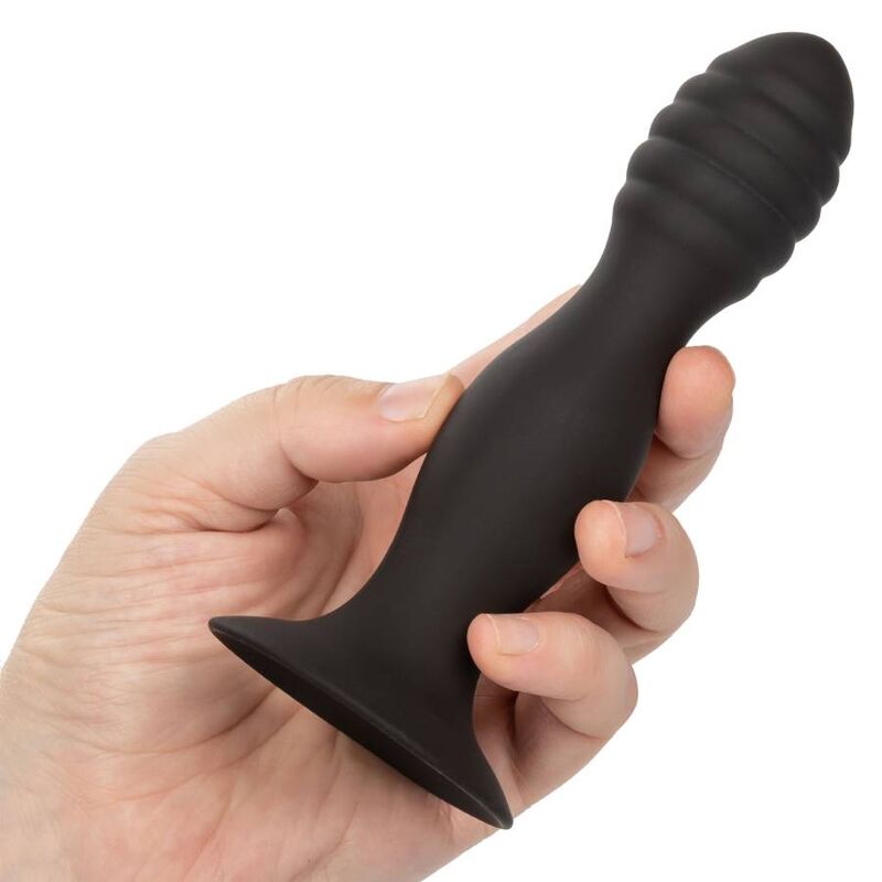 Calexotics - Estudo Anal Com Nervuras