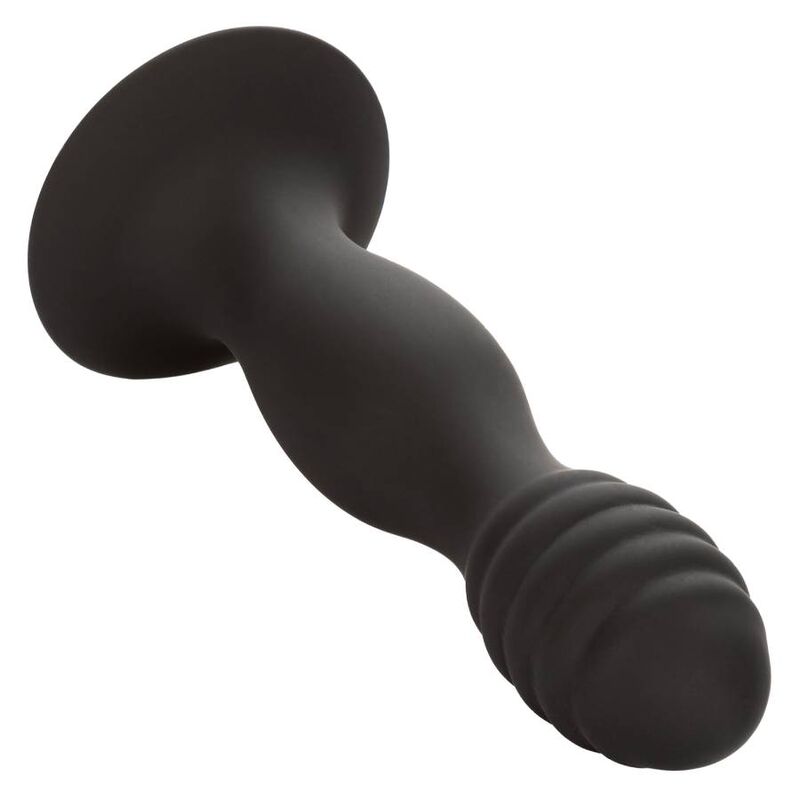 Calexotics - Estudo Anal Com Nervuras