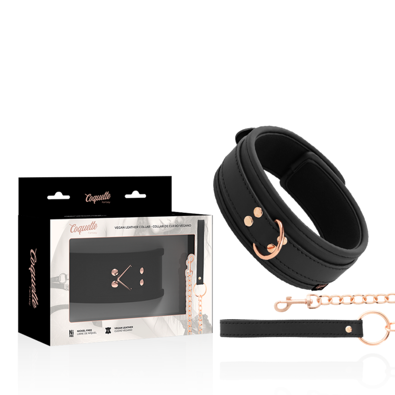 COQUETTE CHIC DESIRE - COLAR DE COURO FANTASY VEGAN COM ALA E FORRO DE NEOPRENO