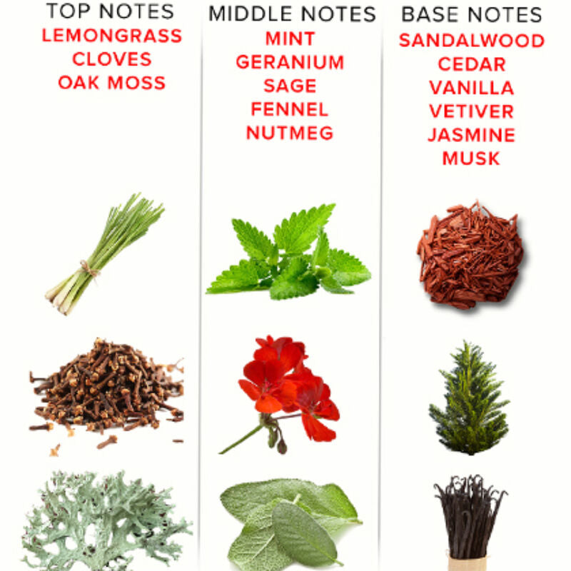 EYE OF LOVE - PERFUME DE FEROMONAS EOL 10 ML - ROMÁNTICO