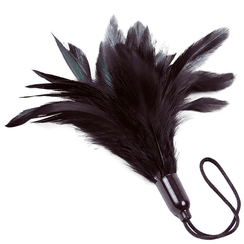 ADRIEN LASTIC - PLUMERO NEGRO DE PRESTIGIO