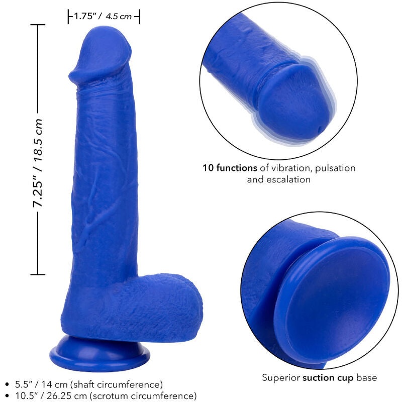 CALEXOTICS - ADMIRAL CAPTAIN DILDO REALISTA VIBRADOR AZUL