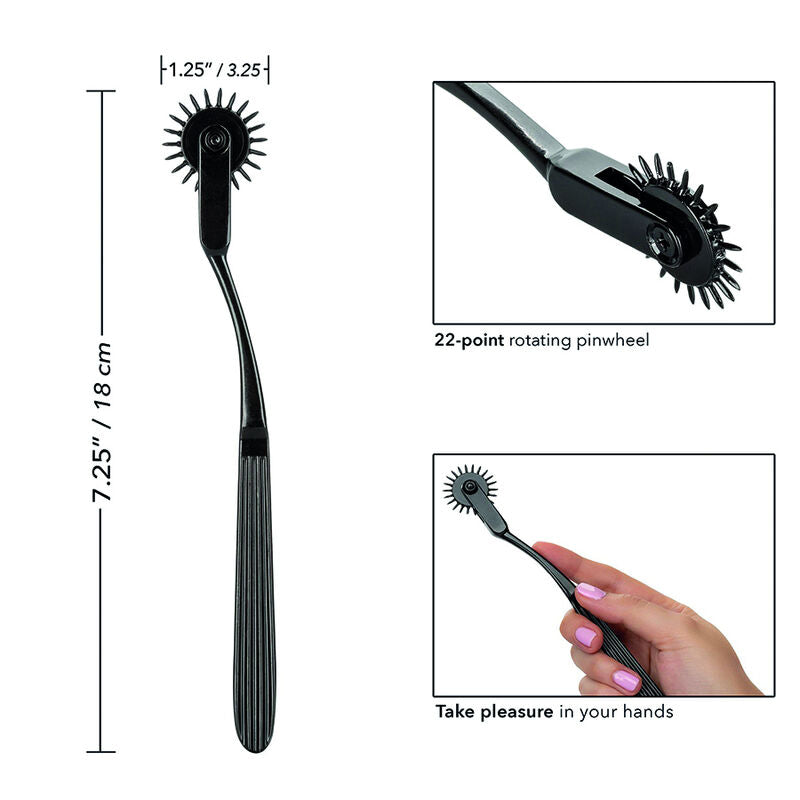 CALEXÓTICAS - BOUNDLESS RODA DE PRAZER