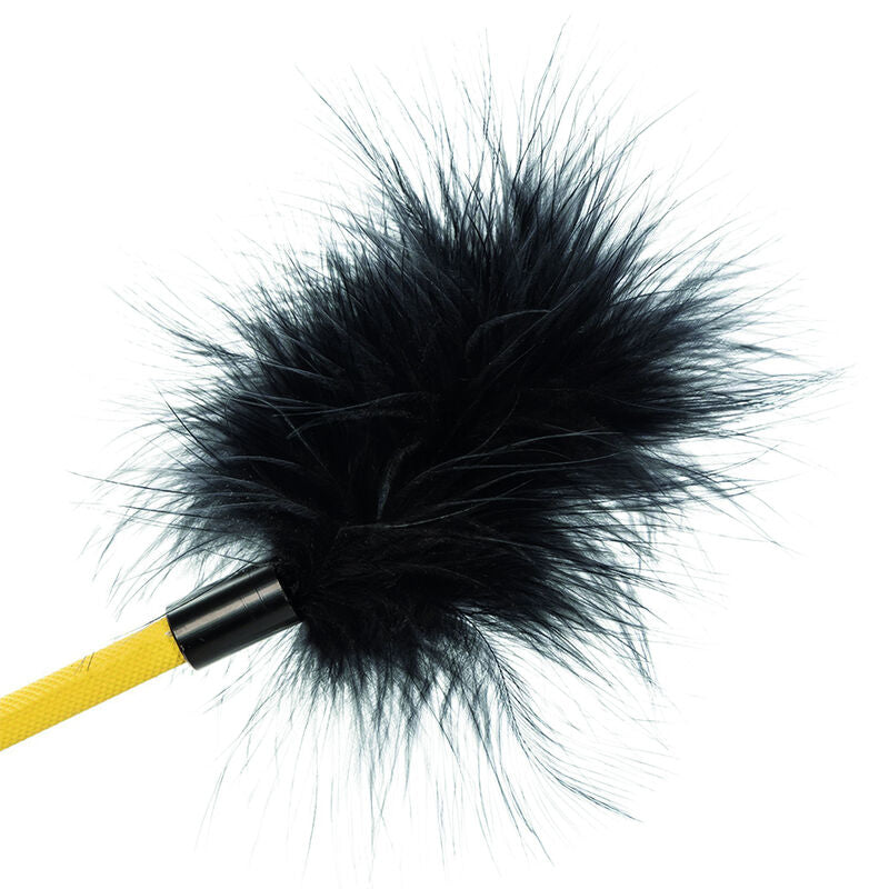 CALEXÓTICAS - BOUNDLESS CULTURA DE PENAS