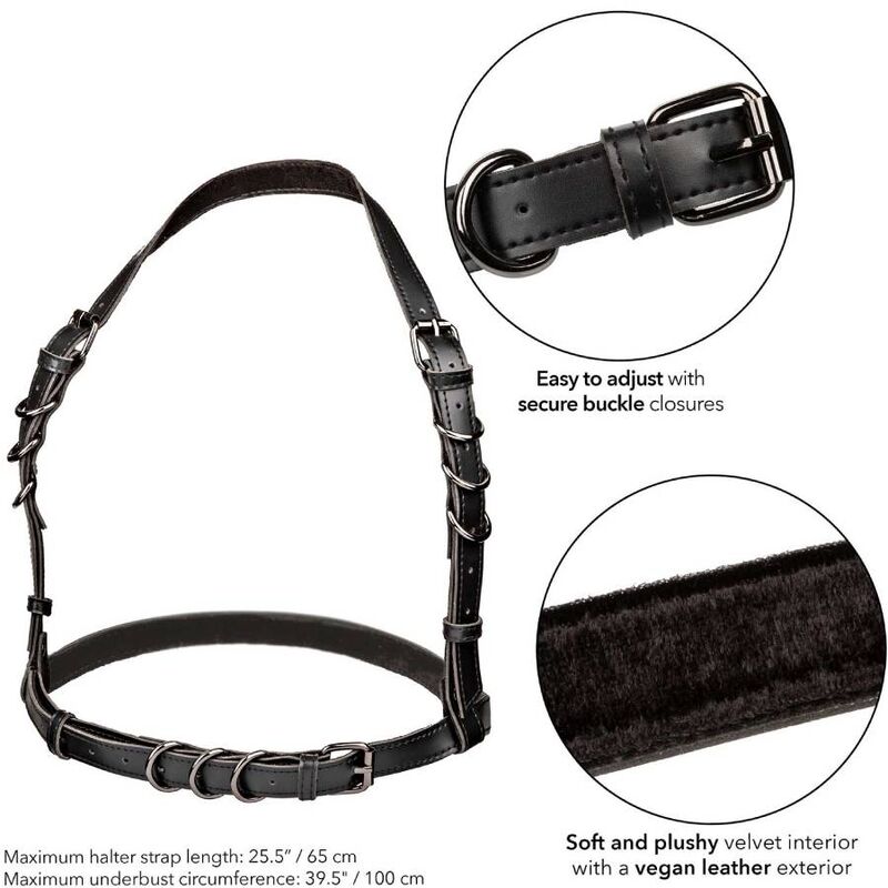 CALEXOTICS – EUPHORIA ARNÊS HALTER COM FIVELA PRETO