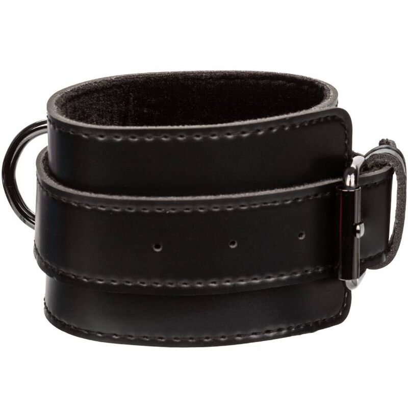 CALEXÓTICAS - EUFORIA ALGEMAS DE MO