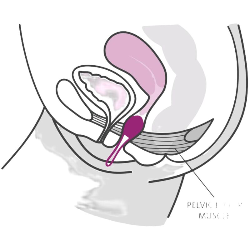 FUN FACTORY - SMARTBALL UNO BOLA PÉLVICA BRANCO / PISTACHO VERDE