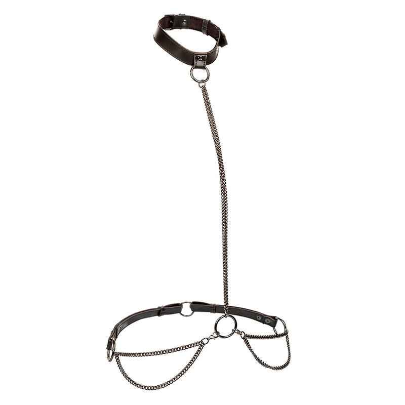 CALEXOTICS - EUPHORIA COLEIRA E TRELA DE CORRENTE