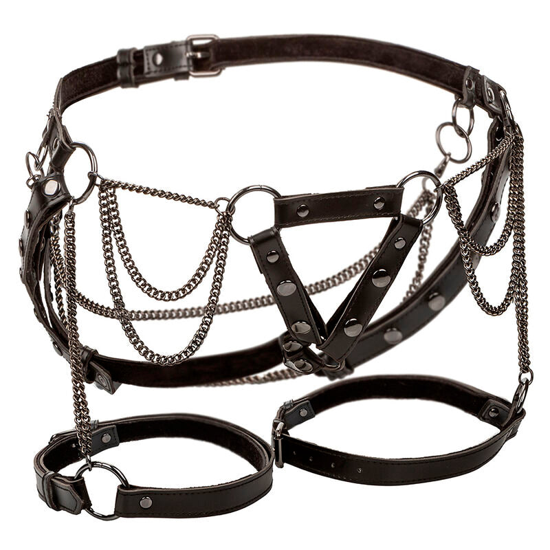 CALEXOTICS - ARNÉS DE MUSLO MULTICAIN EUPHORIA PREMIUM