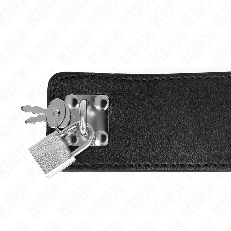 KINK - COLAR COM TRELA 65 CM LARGO PRETO AJUSTÁVEL 33.5-41 CM X 5 CM