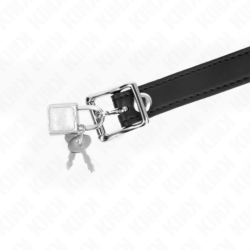 KINK - MODELO 1 BOLA SILICONA 4 CM MAG COM FECHADURA 60 x 2 CM