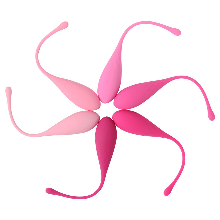 LESLIE - KEGEL FIT ENTRENAMIENTO DE MÚSCULOS PÉLVICOS CONJUNTO 6 PIEZAS