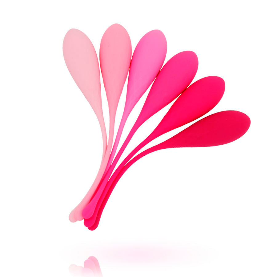 LESLIE - KEGEL FIT ENTRENAMIENTO DE MÚSCULOS PÉLVICOS CONJUNTO 6 PIEZAS