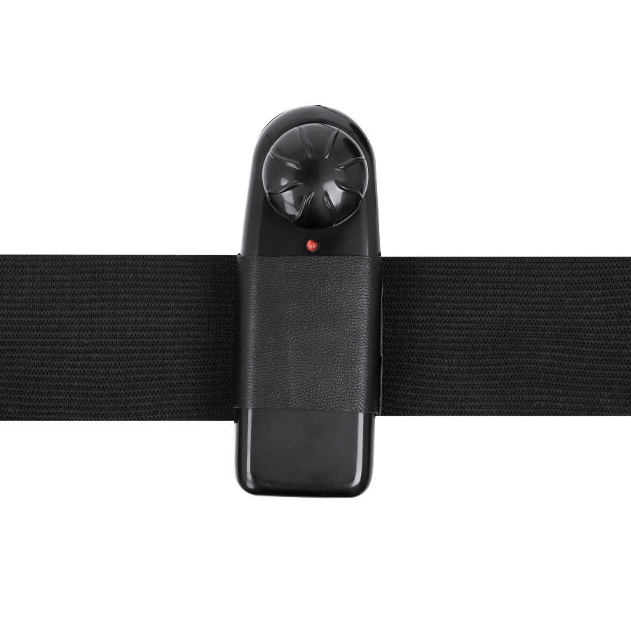 ARNÉS ATRACCIÓN - GREGORY HOLLOW RNES CON VIBRADOR 16.5 CM -O- 4.3 CM